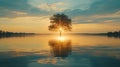 Solitary Tree At Sunset Over Calm Water Royalty Free Stock Photo