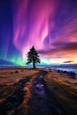 Solitary tree under colorful northern lights in dark sky