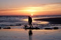 Unrecognizable man walking with his dog on a deserted beach at sun set Royalty Free Stock Photo