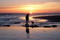 Unrecognizable man walking his dog on a deserted beach at sun set Royalty Free Stock Photo