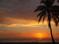 Man walking on empty beach at sunrise Royalty Free Stock Photo