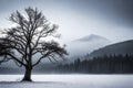 A solitary winter tree reflects on the calm lake, embodying serenity as snow blankets the landscape