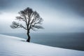 A solitary winter tree reflects on the calm lake, embodying serenity as snow blankets the landscape