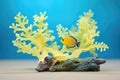 solitary yellow tang by branching coral