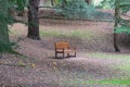 A solitrary wooden bench chair. Royalty Free Stock Photo