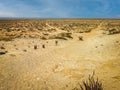Solitude in a desert