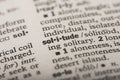 Closeup of the word `Solitude` in a dictionary