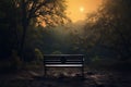 Solitude and grief a couples solitary bench amidst mystical wilderness