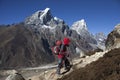 Solitude lady trekking in Himalayas region Royalty Free Stock Photo