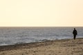 Solitude. Lone beach walker