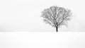 Solitude - Lone snowy tree