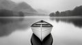 Solitude on a Misty Lake: A Serene Monochrome Landscape Royalty Free Stock Photo