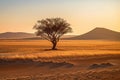 Solitude in the Namib Desert