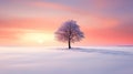 Solitude in the Snow: A Lone Tree\'s Meditation in a Pink Room at Royalty Free Stock Photo