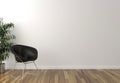 Solo black chair, interior plant and blank wall in background