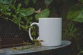 A solo blank white coffee mug on the vine covered fire pit Royalty Free Stock Photo