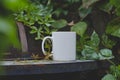 A Solo Blank White Coffee Mug On The Vine Covered Table
