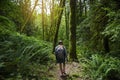 Solo Female Hiker walking through a lush wooded forest in the beautiful Pacific Northwest.