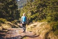 Solo female hiker walking on trekking trail in forest Royalty Free Stock Photo