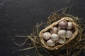 Solo garlic basket on hay