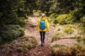 Solo hiker walking on trekking trail in forest Royalty Free Stock Photo