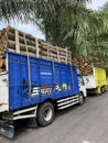 A queue of trucks loading round logs waiting to be unloaded.