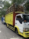 A queue of trucks loading round logs waiting to be unloaded.