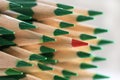 Solo lone red pencil standing out in the crowd of green ones Royalty Free Stock Photo