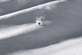 Solo lone skier putting down fresh first tracks on mountain ridge in winter