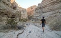 A hiker walks up a canyon