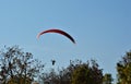 Solo paraglider is flying against the sun on a blue sky on a sunny day in Hungary
