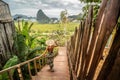 Solo traveler woman enjoying Phang Nga bay view point. Tourist at Samet Nang She, Thailand. Asia travel, trip and summer vacation Royalty Free Stock Photo