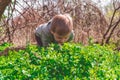 Solo traveller - young boy hiker studying something in the grass