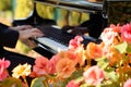 soloist on piano with a foreground of colorful begonias