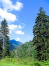 Portrait of Great Smoky Mountains with Blue Sky and Clouds