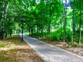 City park in Russia. Royalty Free Stock Photo