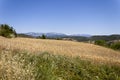 Solsona landscape with Montsec range at background