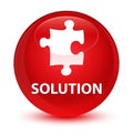 Solution (puzzle icon) glassy red round button