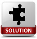 Solution (puzzle icon) white square button red ribbon in middle Royalty Free Stock Photo
