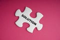 SOLUTION text with white jigsaw puzzle on pink background Royalty Free Stock Photo