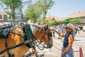 Horse driven cab in Solvang, picturesque  small town in Santa Barbara County, California. Popular touristic attraction Royalty Free Stock Photo