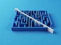 Solved Maze puzzle Royalty Free Stock Photo