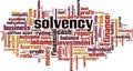 Solvency word cloud