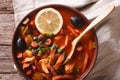 Solyanka - Russian meat soup in bowl closeup horizontal top view