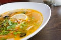 Solyanka is a traditional Russian soup Royalty Free Stock Photo