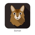 Somali Cat, Cat breed face cartoon flat icon design
