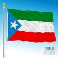 Somali regional flag, Republic of Ethiopia