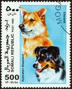 SOMALIA - CIRCA 1999: A stamp printed in Somalia shows Australian Shepherd and Chinook, circa 1999.