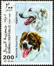 SOMALIA - CIRCA 1999: A stamp printed in Somalia shows Muscovite Guard Dog and Akbash Dog, circa 1999.