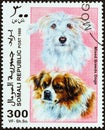 SOMALIA - CIRCA 1999: A stamp printed in Somalia shows Mixed Breeds Dogs, circa 1999.